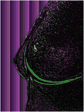 Desnudo Real de febrero - Grafica - stampa su cartone telato