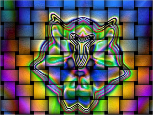 Iride for our ancestors - Grafica