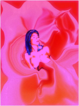 Semilla de una flor - Grafica