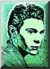 Evergreen - Grafica