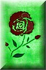 Las rosas - acrilico su cartoncino