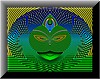 Shaman - Grafica